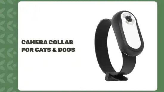 Camera Collar for Cats &amp; Dogs by@Outfy