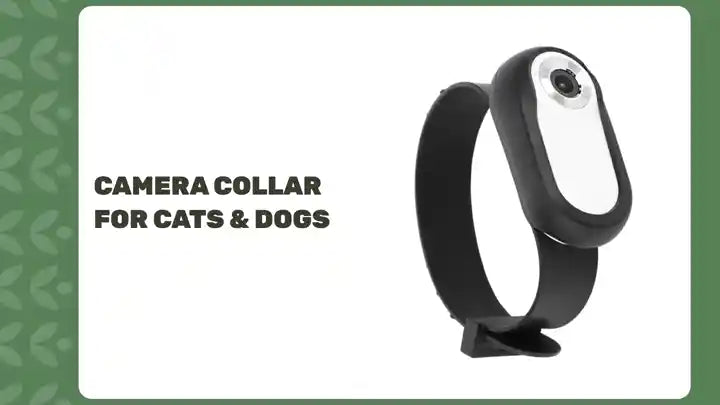 Camera Collar for Cats & Dogs by@Outfy