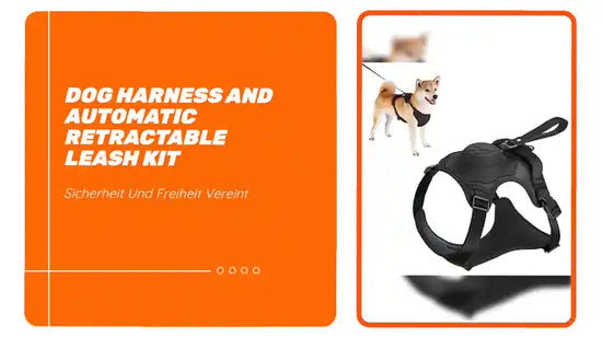 Dog Harness and Automatic Retractable Leash Kit by@Outfy