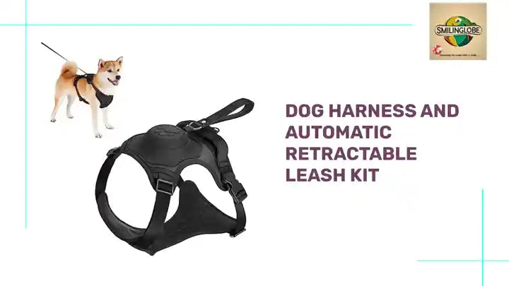 Dog Harness and Automatic Retractable Leash Kit by@Outfy