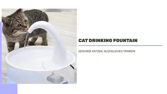 Cat Drinking Fountain by@Outfy