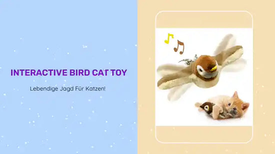 Interactive Bird Cat Toy by@Outfy