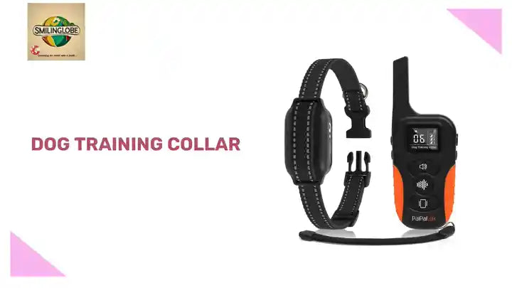 Dog Training Collar by@Outfy